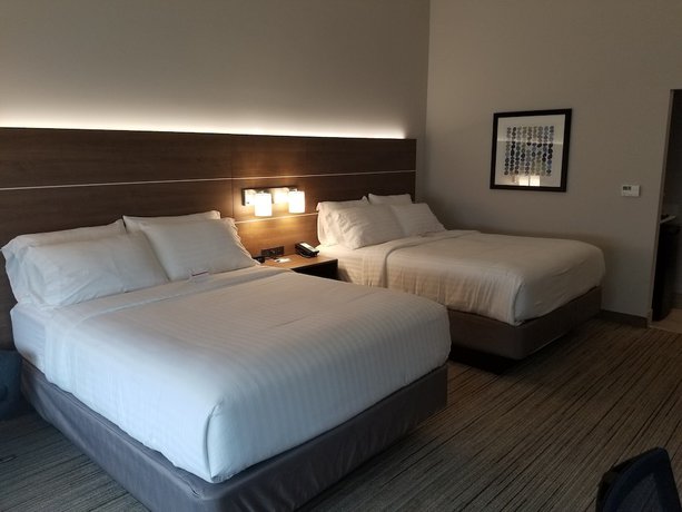 Imagen de la habitación del Hotel Holiday Inn Express and Suites Fort Mill, an IHG. Foto 5