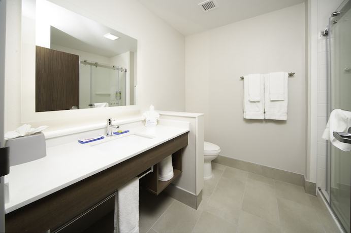 Imagen de la habitación del Hotel Holiday Inn Express and Suites Fort Myers Airport, an IHG. Foto 13