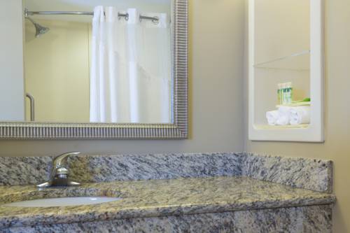 Imagen de la habitación del Hotel Holiday Inn Express and Suites Fort Pierce West, An Ihg. Foto 6