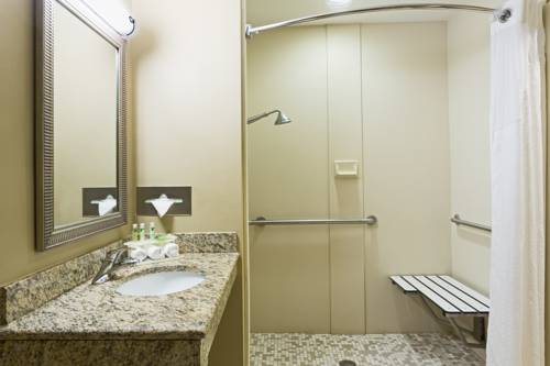 Imagen de la habitación del Hotel Holiday Inn Express and Suites Fort Pierce West, An Ihg. Foto 13