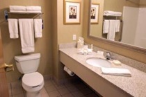 Imagen general del Hotel Holiday Inn Express and Suites Fort Worth Southwest I-20, An Ihg. Foto 5