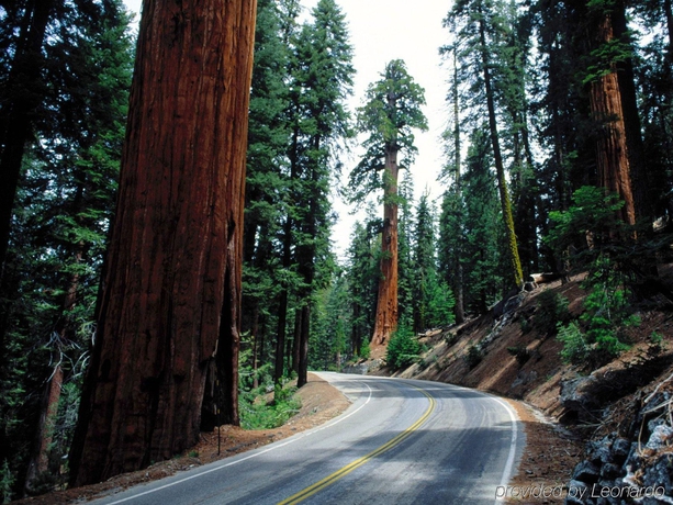 Imagen general del Hotel Holiday Inn Express and Suites Fresno South, An Ihg. Foto 2