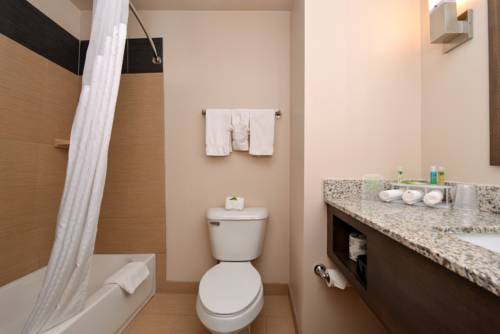 Imagen de la habitación del Hotel Holiday Inn Express and Suites Globe, An Ihg. Foto 15