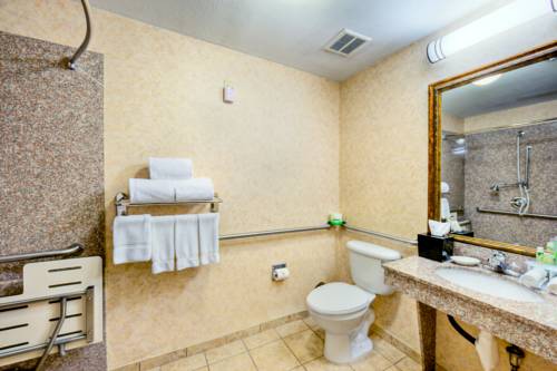 Imagen de la habitación del Hotel Holiday Inn Express and Suites Granbury, An Ihg. Foto 4