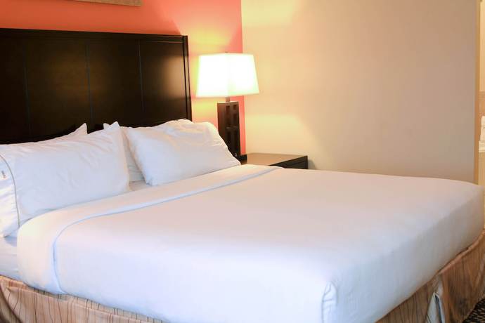 Imagen de la habitación del Hotel Holiday Inn Express and Suites Grand Island, an IHG. Foto 5