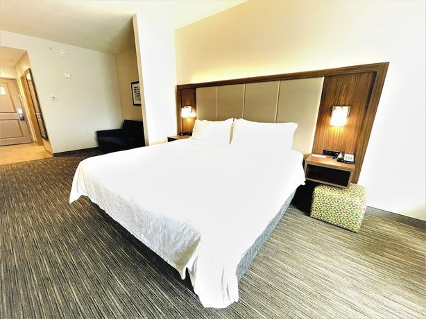 Imagen de la habitación del Hotel Holiday Inn Express and Suites Grand Island, an IHG. Foto 17