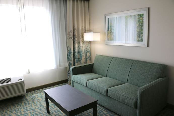 Imagen de la habitación del Hotel Holiday Inn Express and Suites Hendersonville SE - Flat Rock. Foto 7