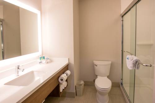 Imagen de la habitación del Hotel Holiday Inn Express and Suites Hesperia, An Ihg. Foto 9
