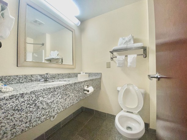 Imagen de la habitación del Hotel Holiday Inn Express and Suites Indianapolis - East. Foto 17