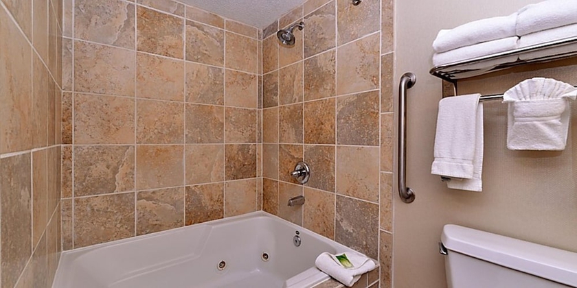 Imagen de la habitación del Hotel Holiday Inn Express and Suites Indianapolis W- Airport Area, An Ihg. Foto 7