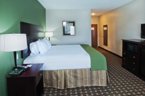 Imagen de la habitación del Hotel Holiday Inn Express and Suites Jacksonville, An Ihg. Foto 7