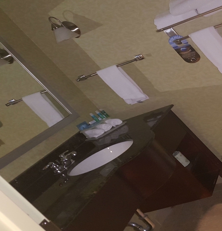 Imagen de la habitación del Hotel Holiday Inn Express and Suites Jacksonville East, An Ihg. Foto 11