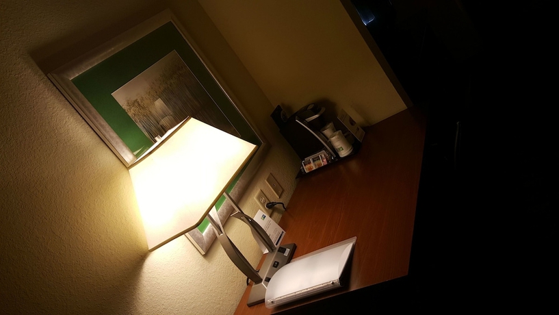 Imagen de la habitación del Hotel Holiday Inn Express and Suites Jacksonville East, An Ihg. Foto 14