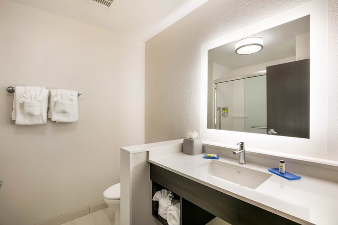 Imagen de la habitación del Hotel Holiday Inn Express and Suites Jacksonville - Town Center, an IHG. Foto 5
