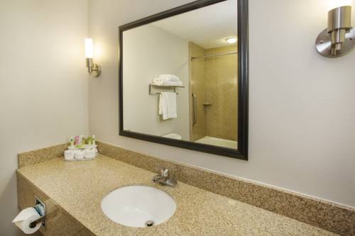 Imagen de la habitación del Hotel Holiday Inn Express and Suites Kalamazoo, An Ihg. Foto 6