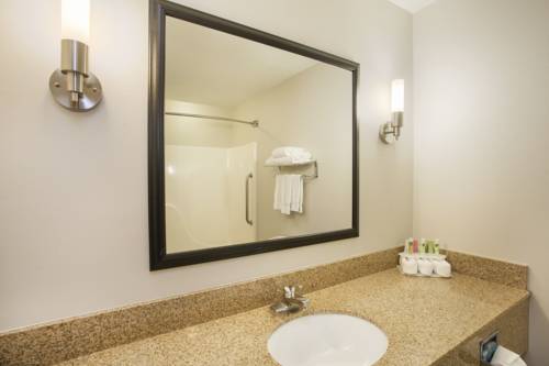 Imagen de la habitación del Hotel Holiday Inn Express and Suites Kalamazoo, An Ihg. Foto 8