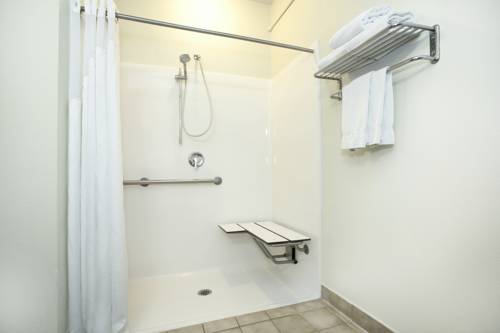 Imagen de la habitación del Hotel Holiday Inn Express and Suites Kalamazoo, An Ihg. Foto 9