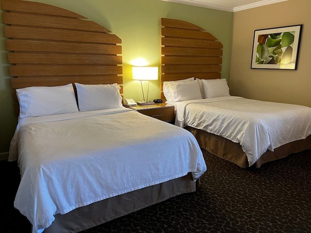 Imagen de la habitación del Hotel Holiday Inn Express and Suites La Jolla – Windansea Beach, An Ihg. Foto 18