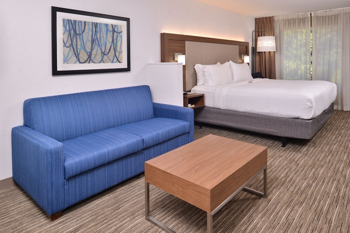 Imagen de la habitación del Hotel Holiday Inn Express and Suites Lacey – Olympia, An Ihg. Foto 7