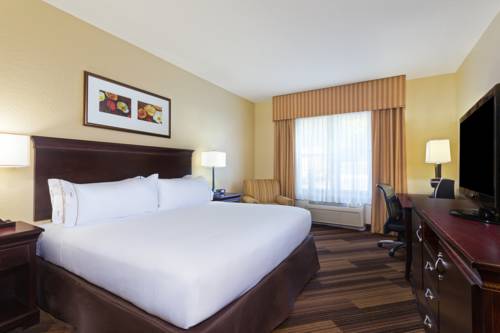 Imagen de la habitación del Hotel Holiday Inn Express and Suites Lakeland North - I-4, An Ihg. Foto 9