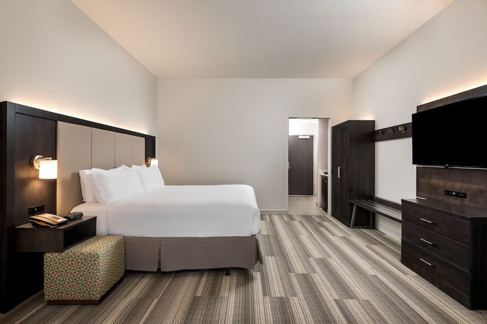 Imagen de la habitación del Hotel Holiday Inn Express and Suites Lakeland South, An Ihg. Foto 4