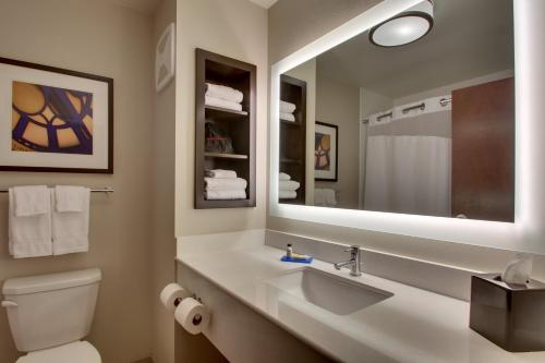 Imagen de la habitación del Hotel Holiday Inn Express and Suites Lancaster East - Strasburg, An Ihg. Foto 8