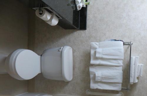Imagen de la habitación del Hotel Holiday Inn Express and Suites Lubbock South, An Ihg. Foto 10