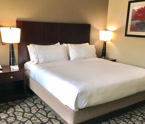 Imagen general del Hotel Holiday Inn Express and Suites Lubbock South, An Ihg. Foto 3