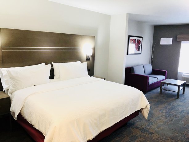 Imagen de la habitación del Hotel Holiday Inn Express and Suites Memphis Arpt Elvis Presley Blv, an IHG. Foto 7