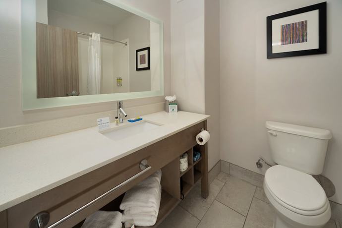 Imagen de la habitación del Hotel Holiday Inn Express and Suites Memphis Arpt Elvis Presley Blv, an IHG. Foto 9