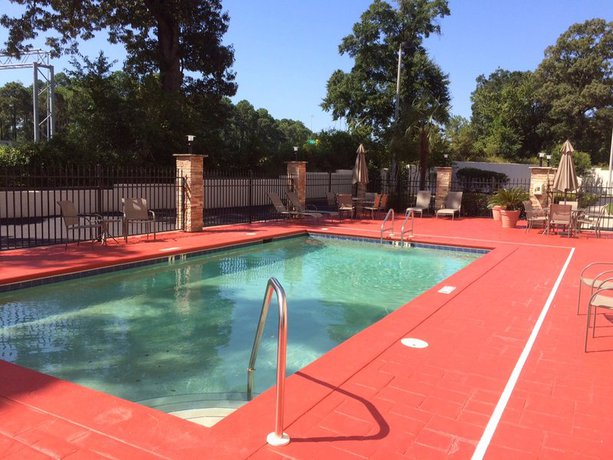 Imagen de la piscina del Hotel Holiday Inn Express and Suites Mobile West I-10, An Ihg. Foto 7