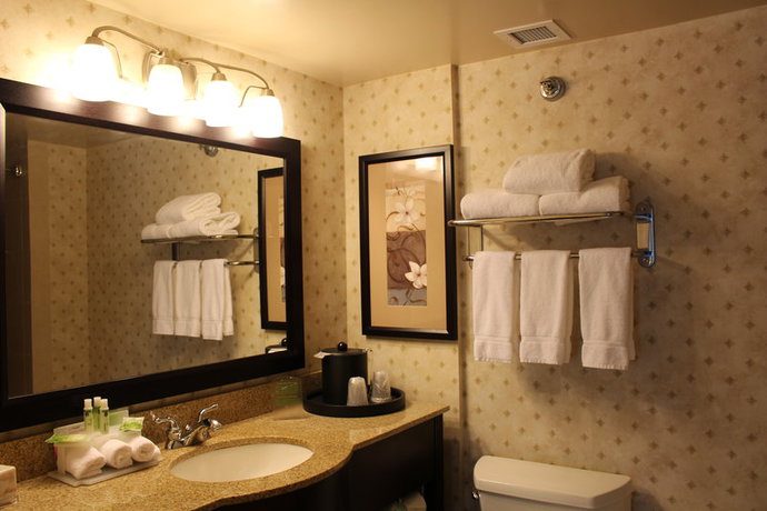 Imagen de la habitación del Hotel Holiday Inn Express and Suites Mobile West I-10, An Ihg. Foto 4