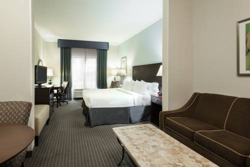 Imagen de la habitación del Hotel Holiday Inn Express and Suites New Iberia - Avery Island, An Ihg. Foto 10