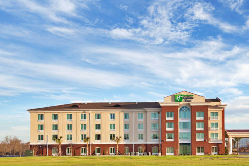 Imagen general del Hotel Holiday Inn Express and Suites Newberry, An Ihg. Foto 2