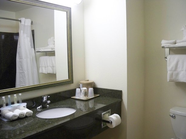 Imagen de la habitación del Hotel Holiday Inn Express and Suites Omaha I-80, an IHG. Foto 5