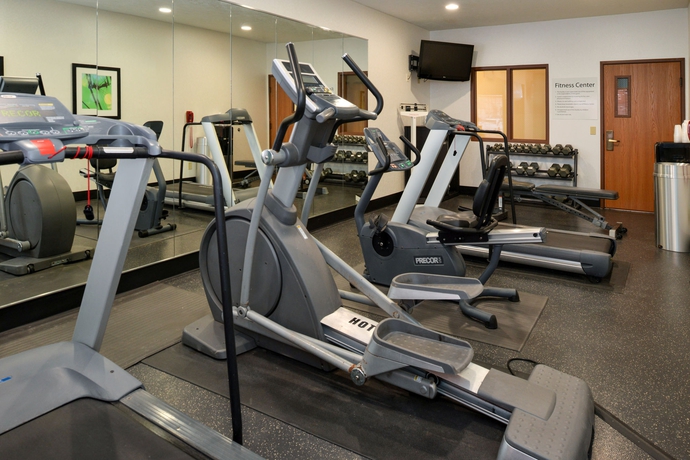 Imagen de los interiores del Hotel Holiday Inn Express and Suites Omaha West. Foto 11