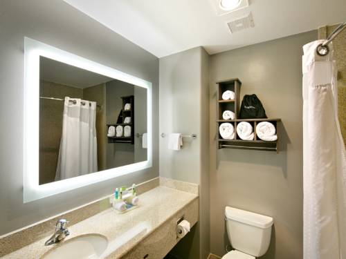 Imagen de la habitación del Hotel Holiday Inn Express and Suites Paso Robles, An Ihg. Foto 3