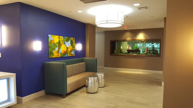 Imagen de los interiores del Hotel Holiday Inn Express and Suites Pearland, An Ihg. Foto 18