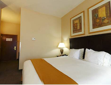 Imagen de la habitación del Hotel Holiday Inn Express and Suites Pell City, An Ihg. Foto 7