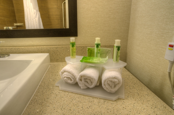 Imagen de la habitación del Hotel Holiday Inn Express and Suites Phoenix North Scottsdale, An Ihg. Foto 3