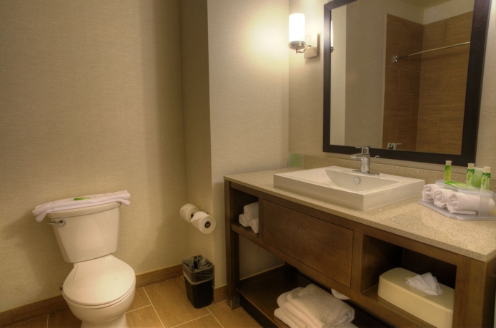 Imagen de la habitación del Hotel Holiday Inn Express and Suites Phoenix North Scottsdale, An Ihg. Foto 4