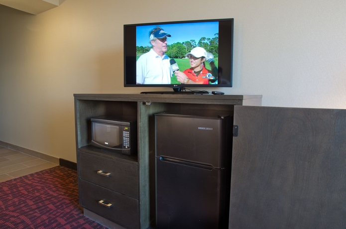 Imagen de la habitación del Hotel Holiday Inn Express and Suites Phoenix North Scottsdale, An Ihg. Foto 6