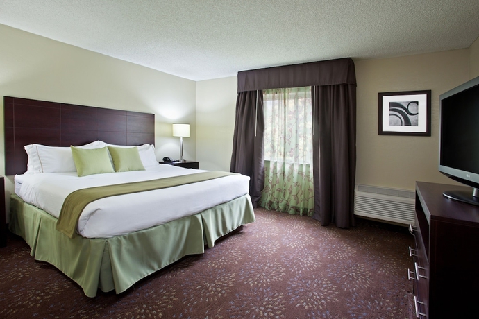 Imagen de la habitación del Hotel Holiday Inn Express and Suites Pittsburgh Airport, An Ihg. Foto 10