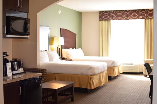 Imagen de la habitación del Hotel Holiday Inn Express and Suites Pratt, An Ihg. Foto 13