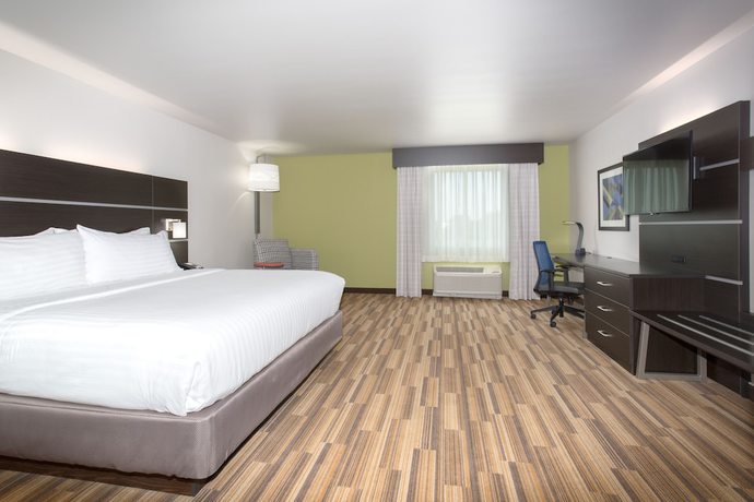 Imagen de la habitación del Hotel Holiday Inn Express and Suites Rapid City - Rushmore South, An Ihg. Foto 13