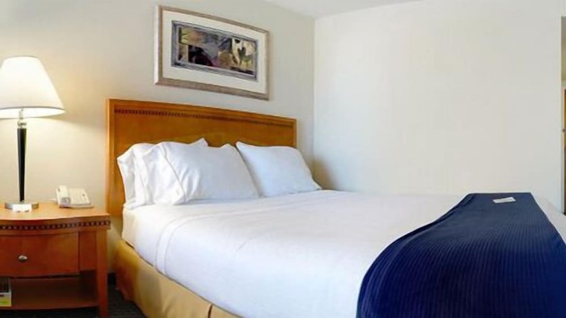 Imagen de la habitación del Hotel Holiday Inn Express and Suites Richmond-Brandermill, an IHG. Foto 19