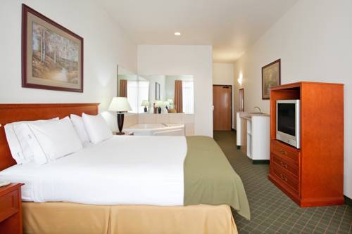 Imagen de la habitación del Hotel Holiday Inn Express and Suites Rockford-loves Park, An Ihg. Foto 8