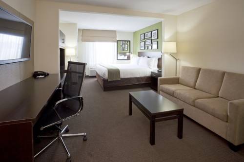 Imagen general del Hotel Holiday Inn Express and Suites Rogers, An Ihg. Foto 1