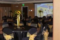 Imagen general del Hotel Holiday Inn Express and Suites Sacramento Ne Cal Expo, An Ihg. Foto 3