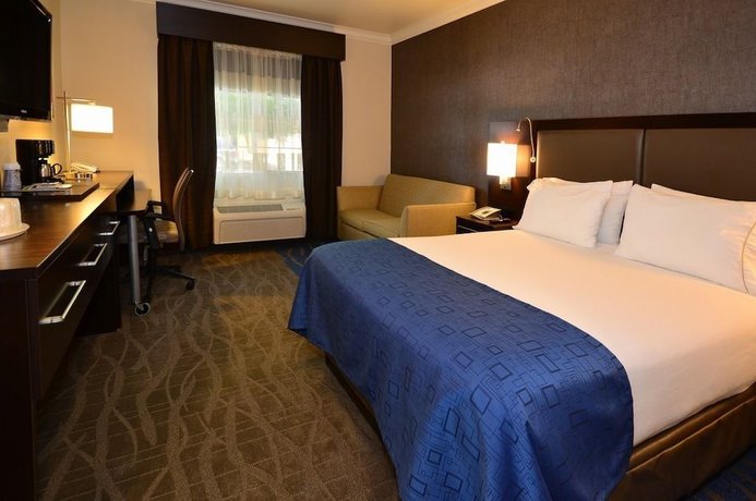 Imagen de la habitación del Hotel Holiday Inn Express and Suites Santa Clara, an IHG. Foto 12